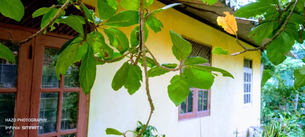 House with Land for Sale in Gampaha | ගම්පහ නිවසක් සහ ඉඩමක් විකිණීමට - Image 9