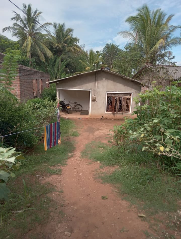 House with Land for Sale in Mahiyanganaya | මහියංගනය නිවස සහ ඉඩම විකිණීමට - Image 4
