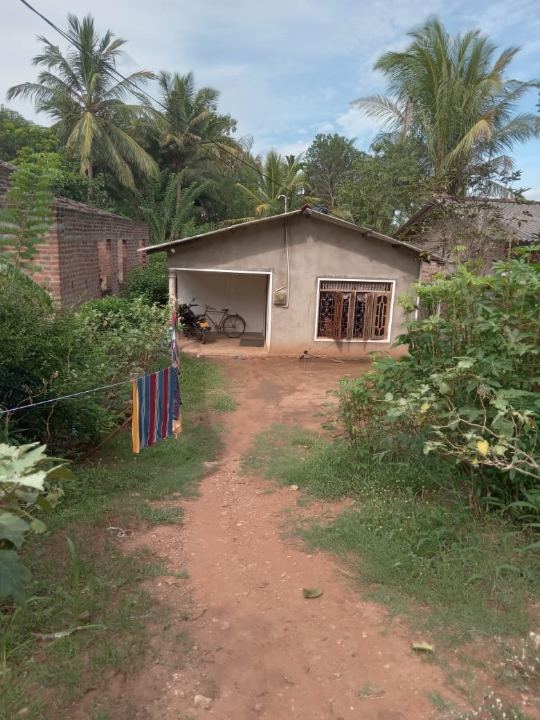 House with Land for Sale in Mahiyanganaya | මහියංගනය නිවස සහ ඉඩම විකිණීමට - Image 6