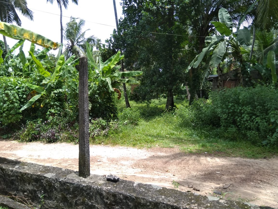 Land for Sale in Gampaha | ගම්පහ ඉඩමක් විකිණීමට - Image 2