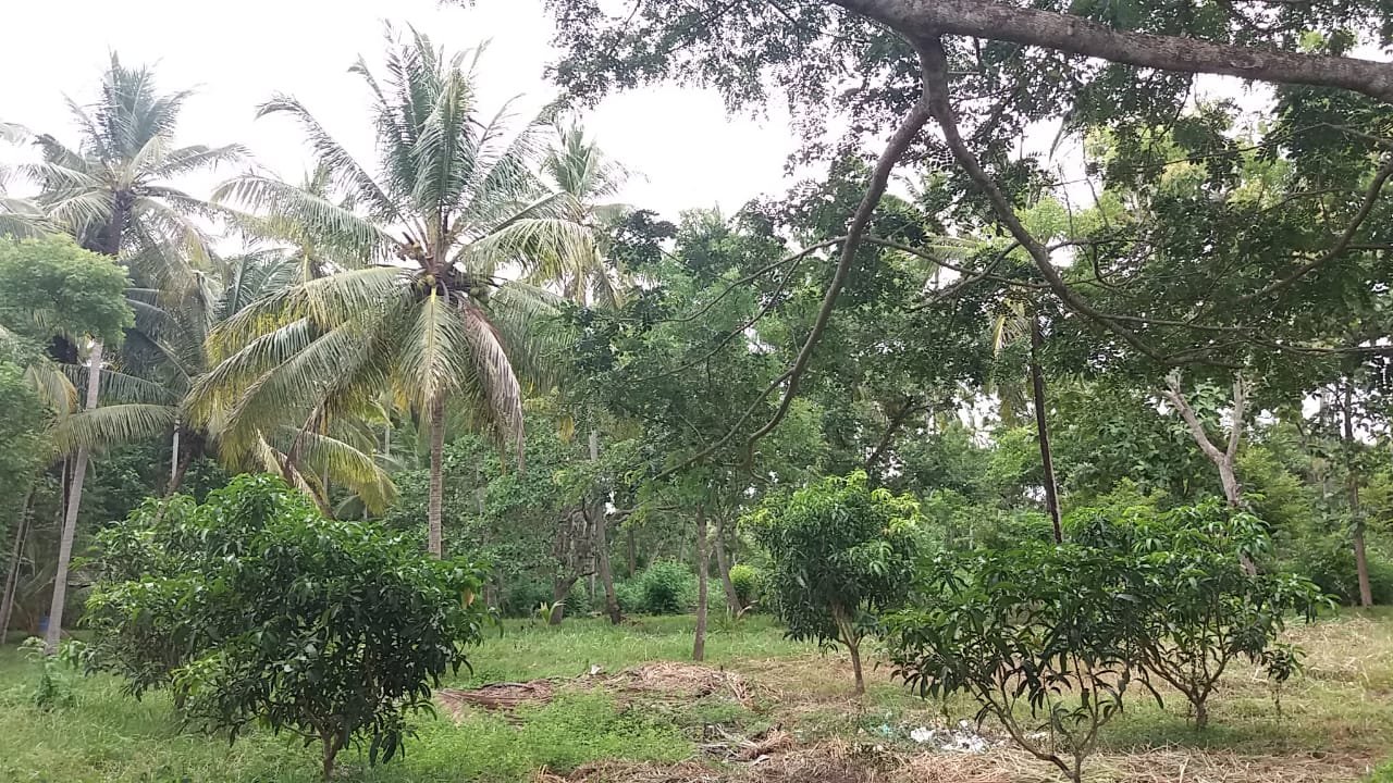 House and Land for Sale in Kurunegala | කුරුණෑගල නිවස සහ ඉඩම විකිණීමට - Image 2