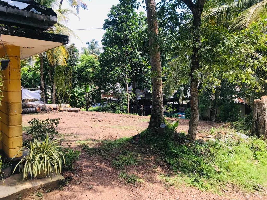 Land for Sale in Panadura | පානදුර ඉඩමක් විකිණීමට - Image 2