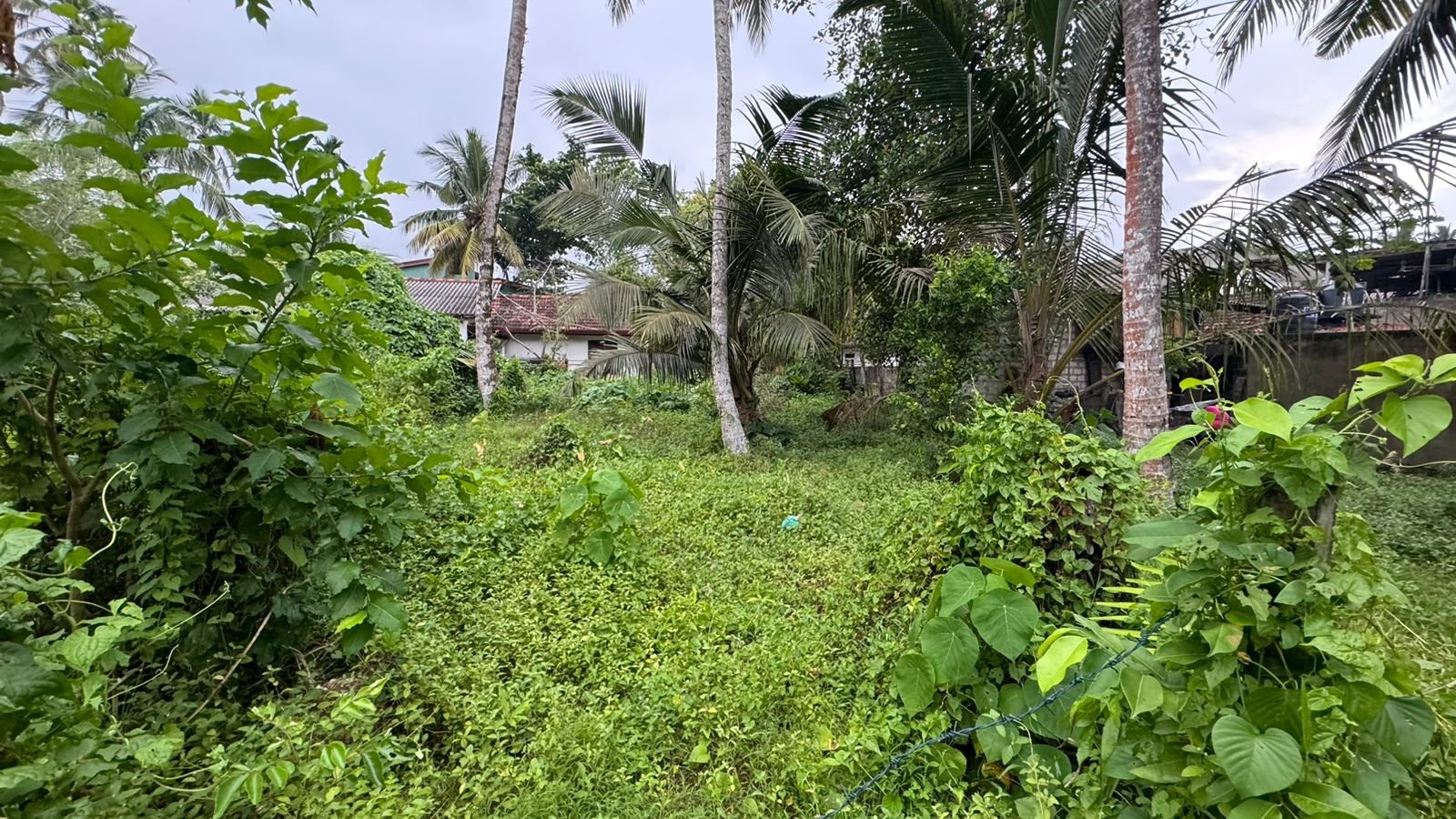 Land for Sale in Wadduwa | වාද්දුවෙන් ඉඩමක් විකිණීමට - Image 3