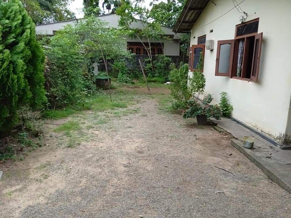 House with Land for Sale in Kelaniya | කැලණිය නිවස සමග ඉඩමක් විකිණීමට - Image 2