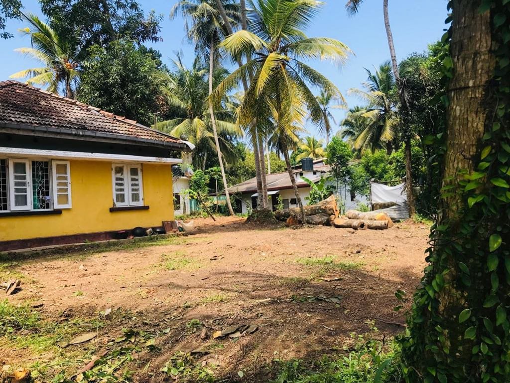 Land for Sale in Panadura | පානදුර ඉඩමක් විකිණීමට - Image 3