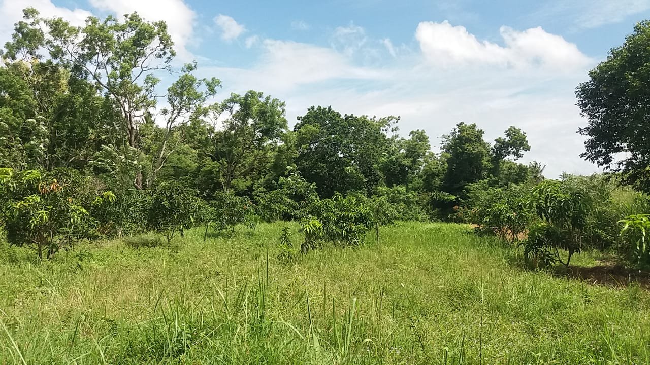 House and Land for Sale in Kurunegala | කුරුණෑගල නිවස සහ ඉඩම විකිණීමට - Image 4