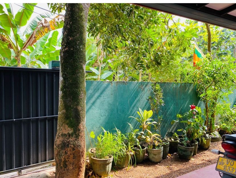 House for Sale in Kalutara | කලුතර නිවසක් විකිණීමට - Image 5
