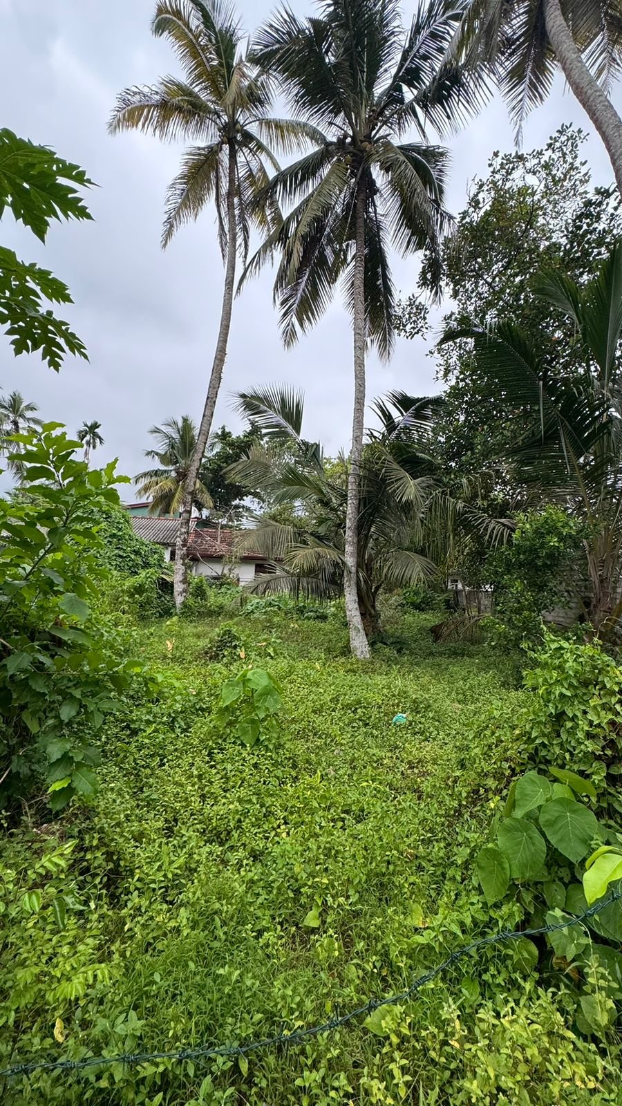 Land for Sale in Wadduwa | වාද්දුවෙන් ඉඩමක් විකිණීමට - Image 4