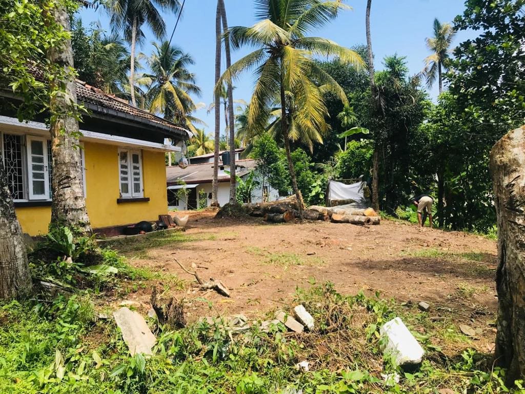Land for Sale in Panadura | පානදුර ඉඩමක් විකිණීමට - Image 5