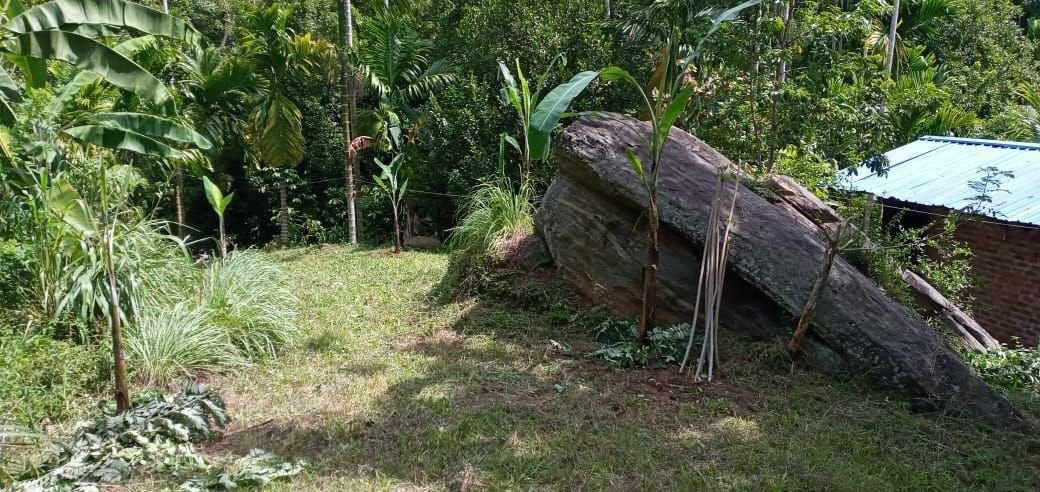 Agricultural Land for Sale in Kandy | මහනුවර ගොවිතැන සඳහා ඉඩමක් විකිණීමට - Image 6