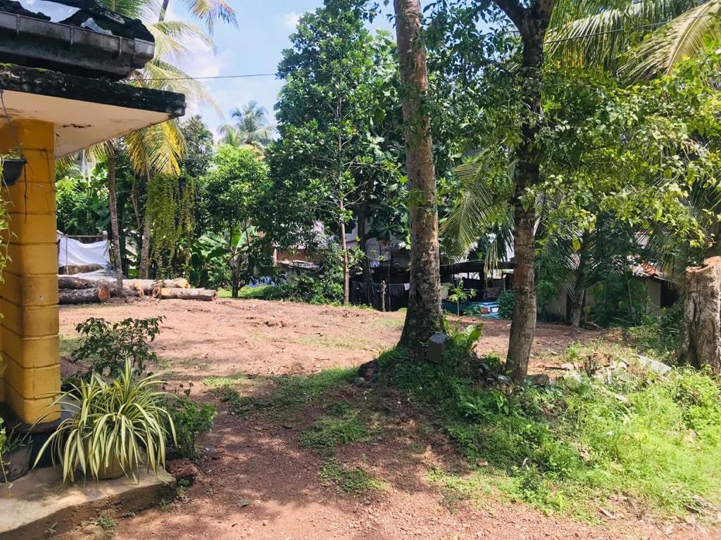 Land for Sale in Panadura | පානදුර ඉඩමක් විකිණීමට - Image 6