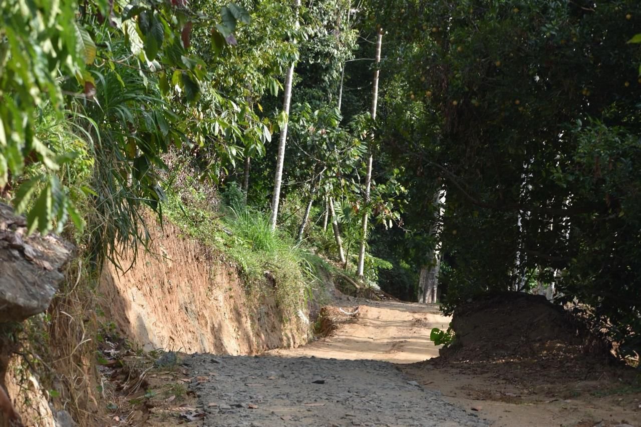 Agricultural Land for Sale in Kandy | මහනුවර ගොවිතැන සඳහා ඉඩමක් විකිණීමට - Image 7