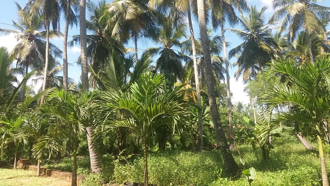 House and Land for Sale in Kurunegala | කුරුණෑගල නිවස සහ ඉඩම විකිණීමට - Image 7