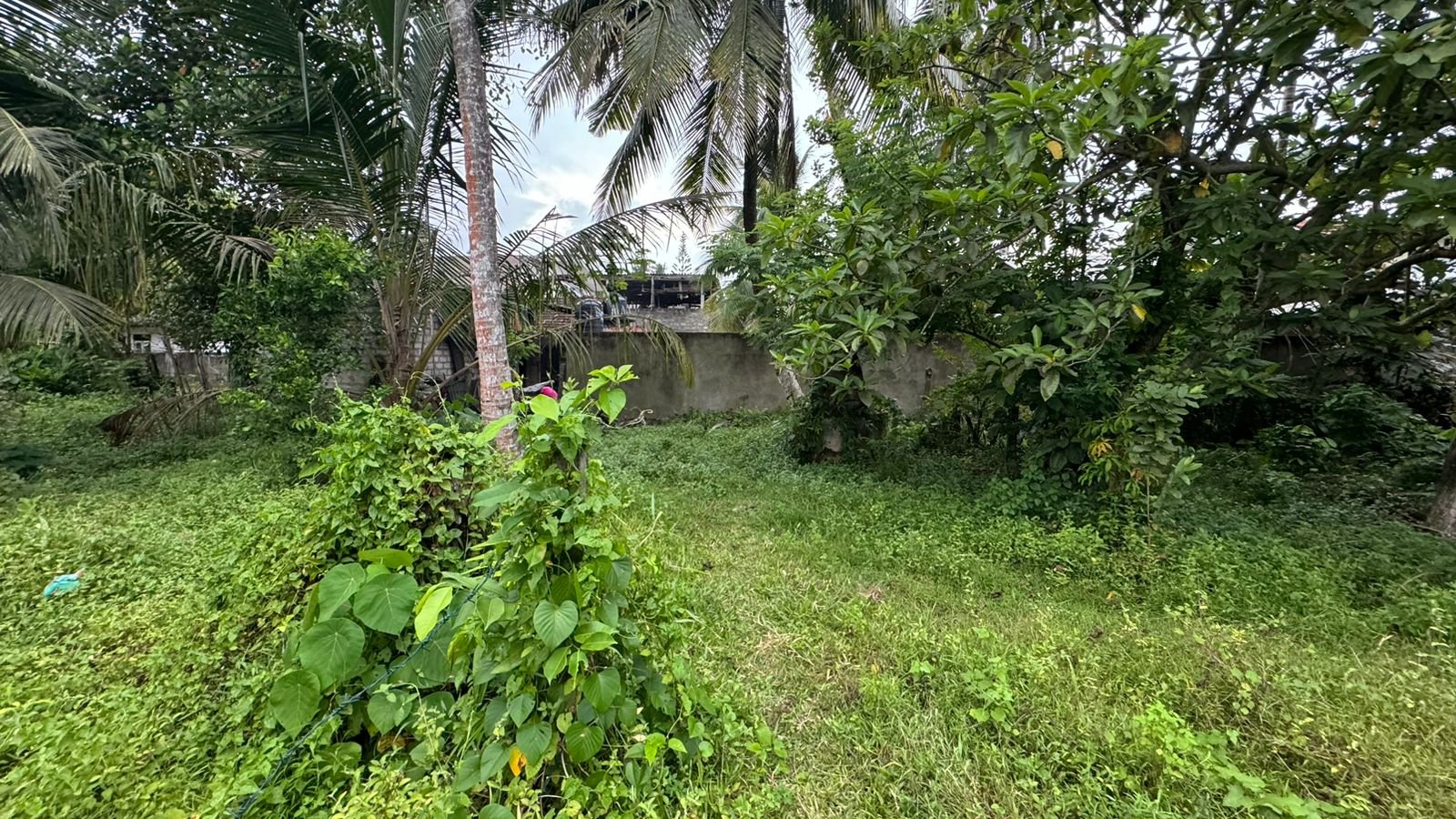 Land for Sale in Wadduwa | වාද්දුවෙන් ඉඩමක් විකිණීමට - Image 5