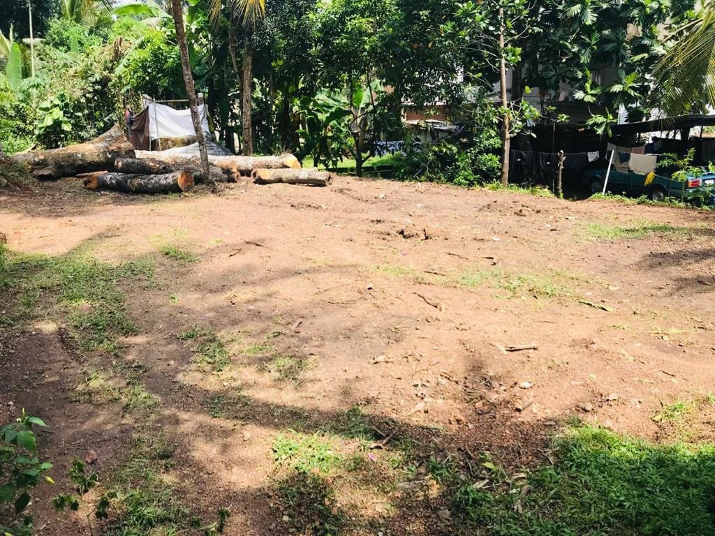 Land for Sale in Panadura | පානදුර ඉඩමක් විකිණීමට - Image 7