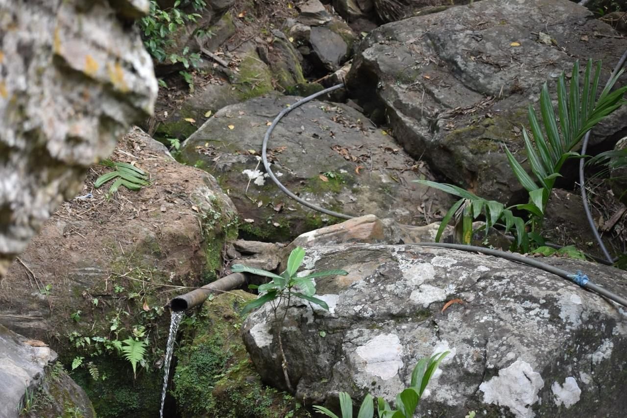 Agricultural Land for Sale in Kandy | මහනුවර ගොවිතැන සඳහා ඉඩමක් විකිණීමට - Image 8