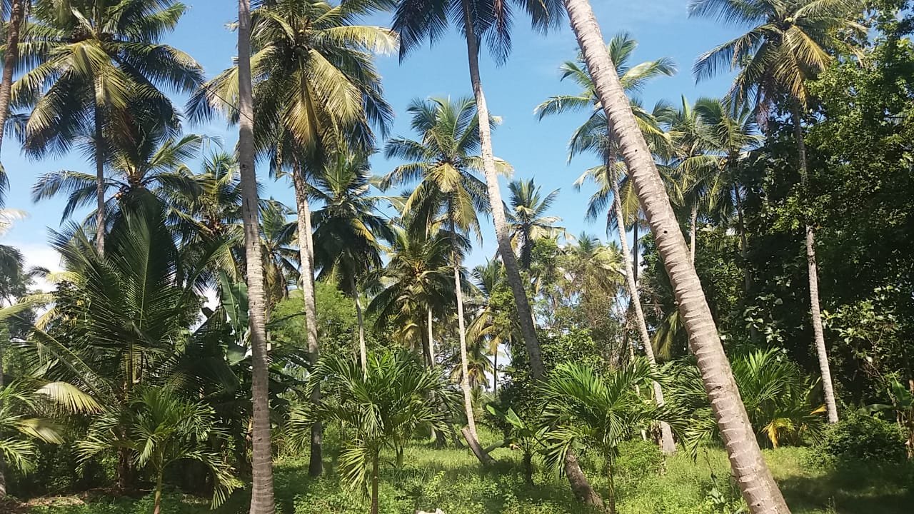 House and Land for Sale in Kurunegala | කුරුණෑගල නිවස සහ ඉඩම විකිණීමට - Image 8