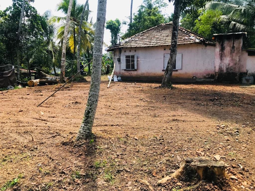 Land for Sale in Panadura | පානදුර ඉඩමක් විකිණීමට - Image 8