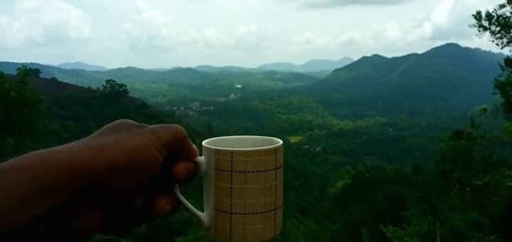 Agricultural Land for Sale in Kandy | මහනුවර ගොවිතැන සඳහා ඉඩමක් විකිණීමට - Image 9