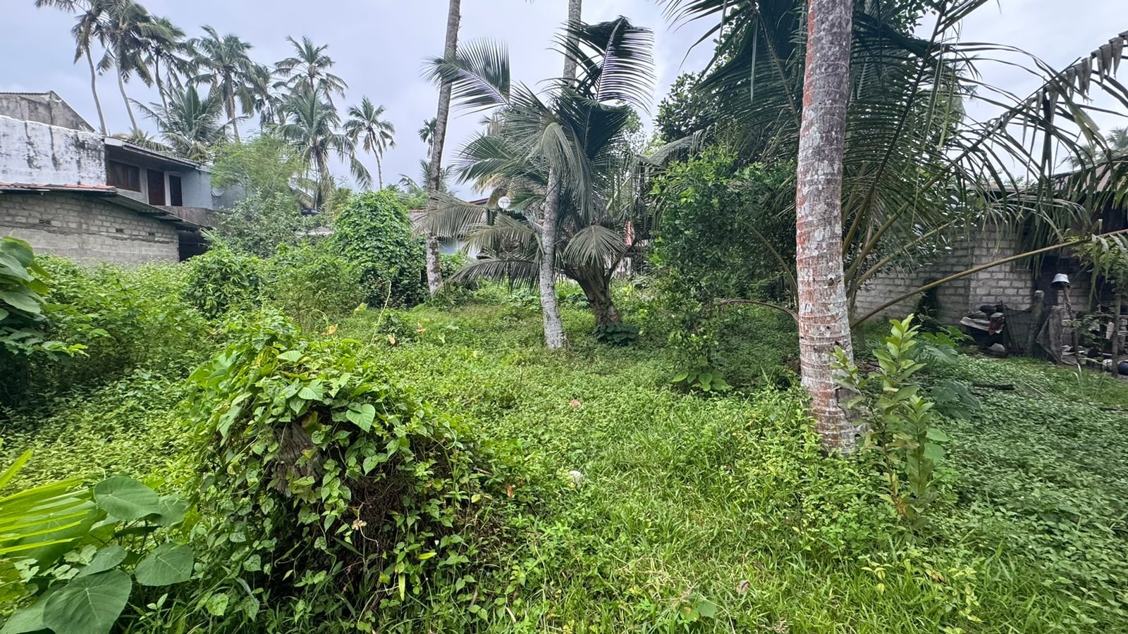 Land for Sale in Wadduwa | වාද්දුවෙන් ඉඩමක් විකිණීමට - Image 7