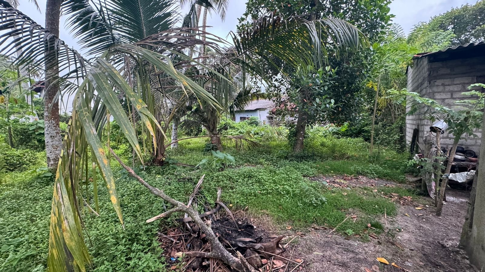 Land for Sale in Wadduwa | වාද්දුවෙන් ඉඩමක් විකිණීමට - Image 8
