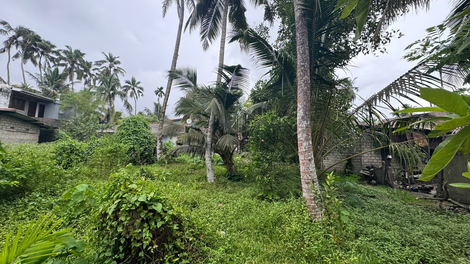 Land for Sale in Wadduwa | වාද්දුවෙන් ඉඩමක් විකිණීමට - Image 9