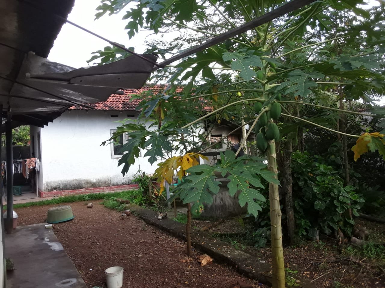 House and Land for Sale in Kahathuduwa Colombo | කහතුඩුවේ නිවස සහ ඉඩම විකිණීමට - Image 12