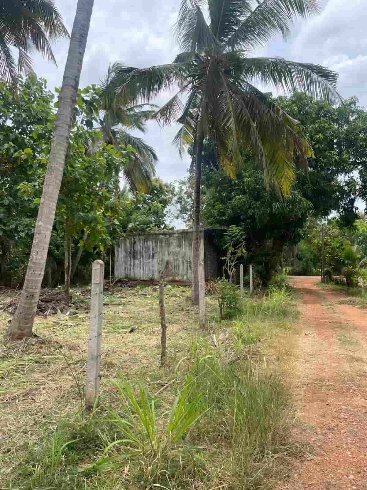 Anuradhapura House with Land for sale with a commercial building at fivestar.lk