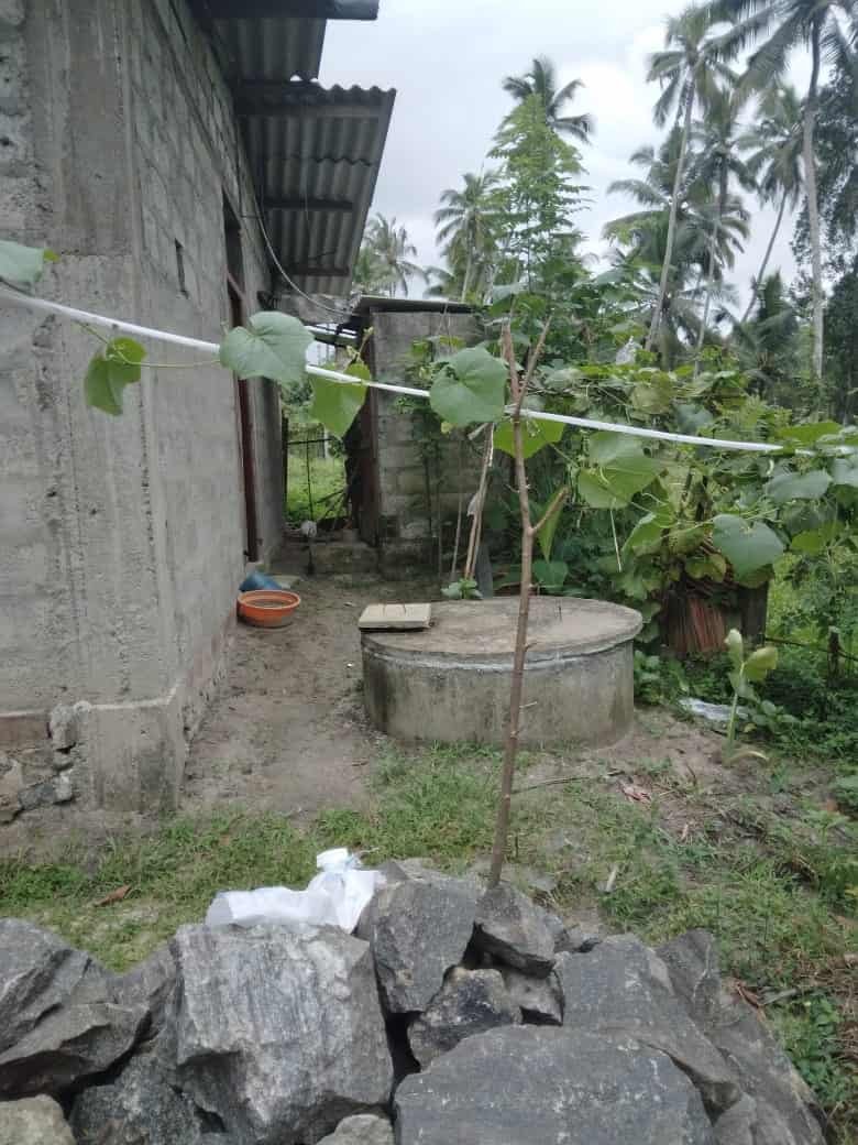 Gampaha Weliweriya House with Land for sale at fivestar.lk