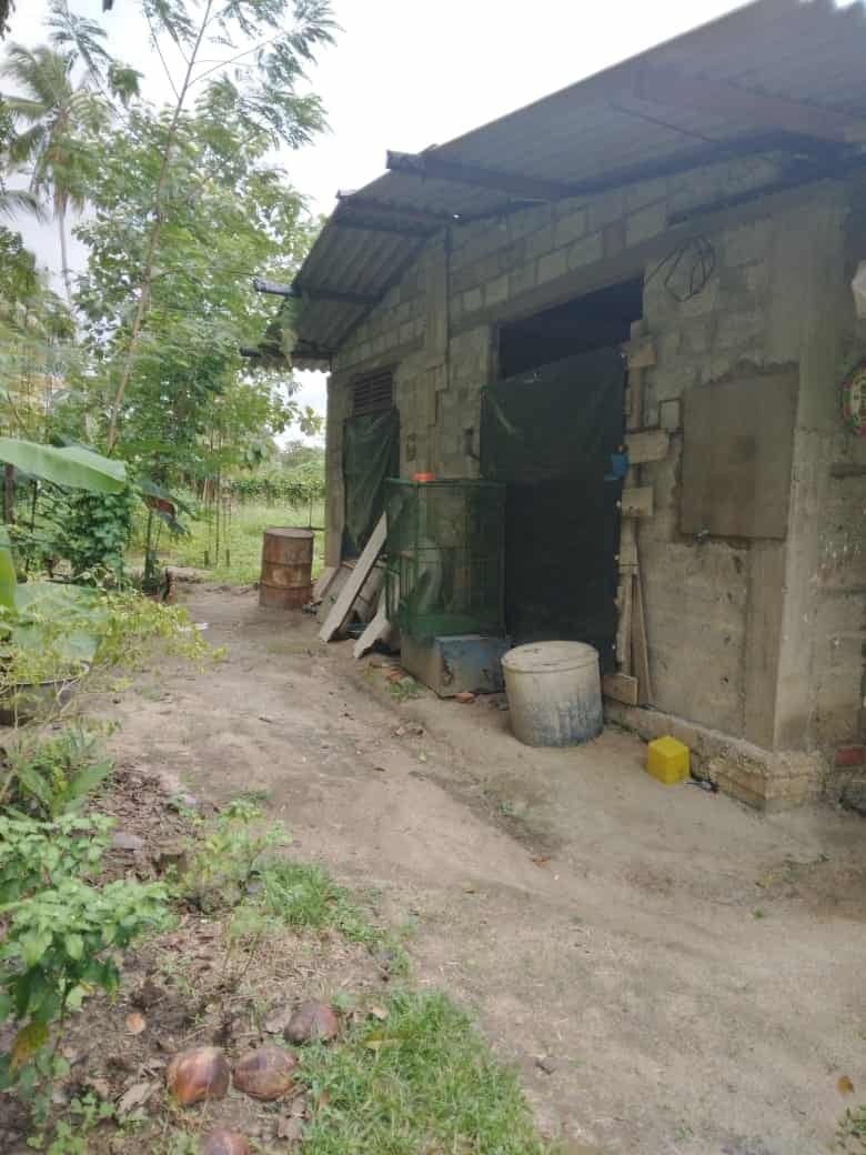 Gampaha Weliweriya House with Land for sale at fivestar.lk