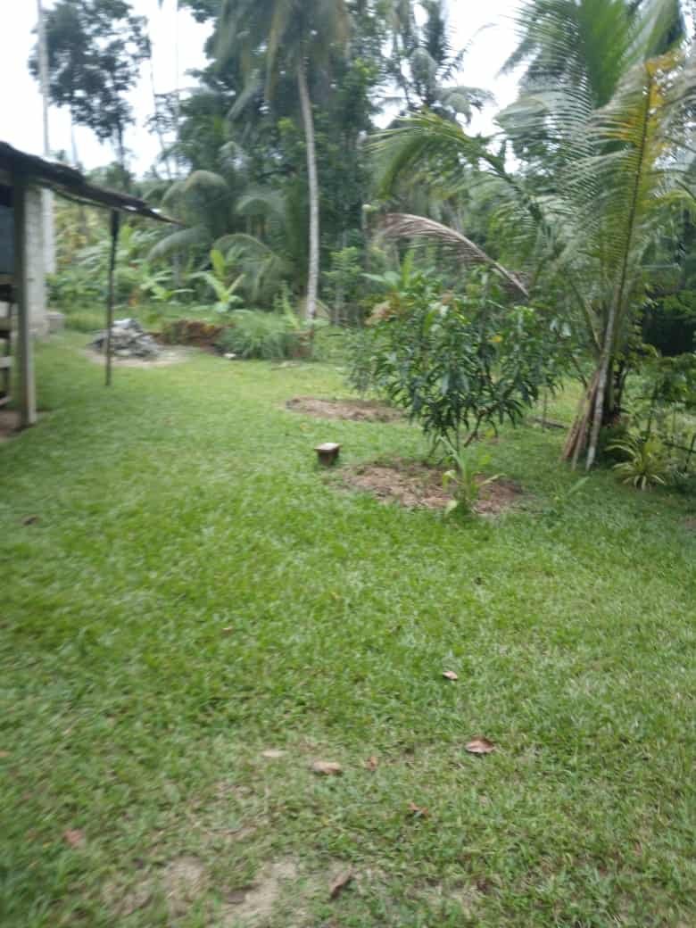 Gampaha Weliweriya House with Land for sale at fivestar.lk