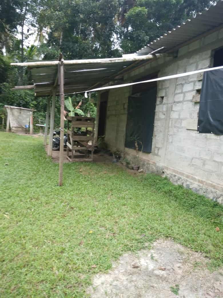 Gampaha Weliweriya House with Land for sale at fivestar.lk