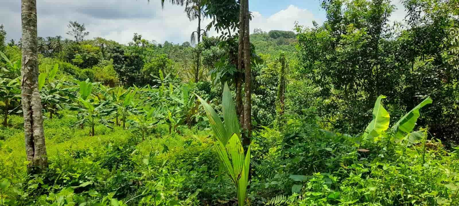 Hanwella waga road house for sale in fivestar.lk