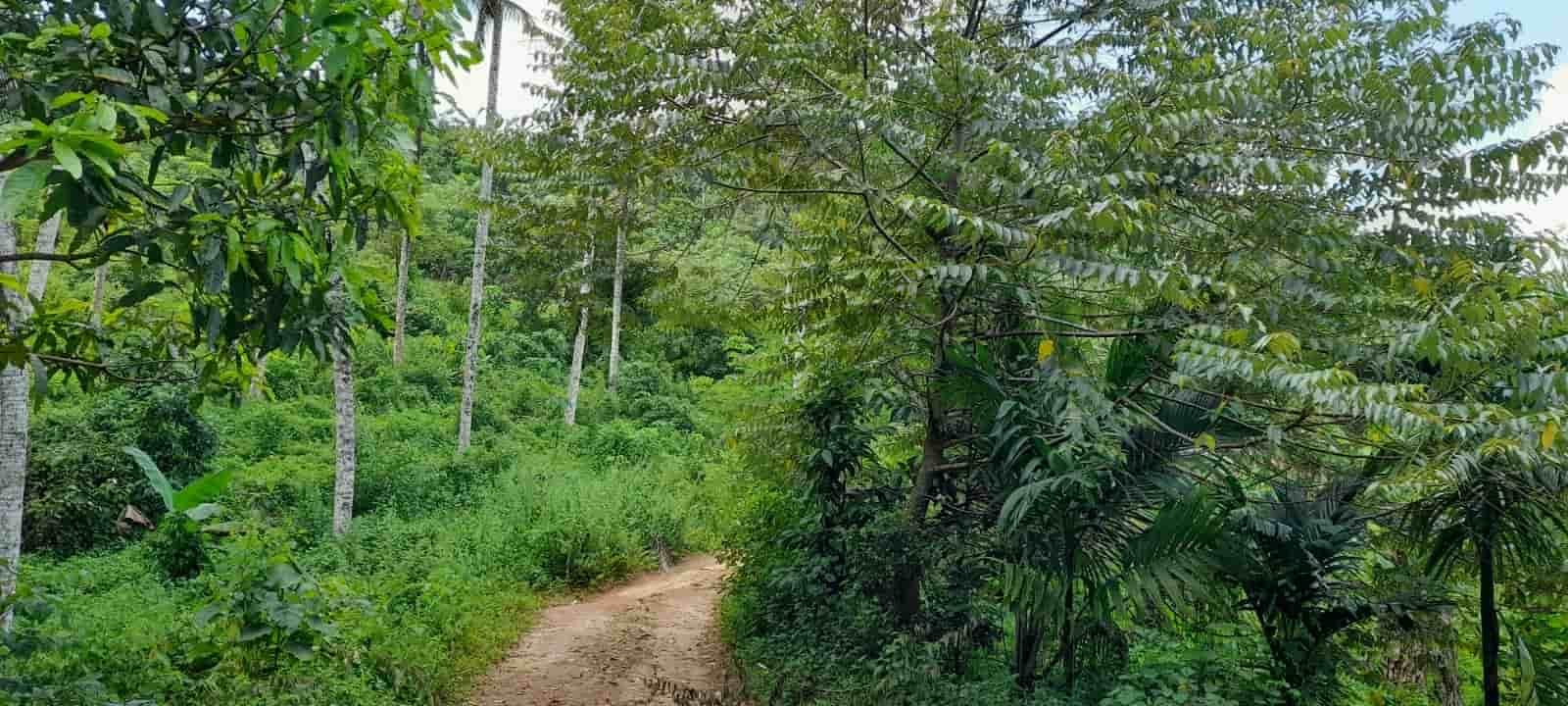 Hanwella Land for sale | හංවැල්ලෙන් වටිනා ඉඩමක් - Image 4