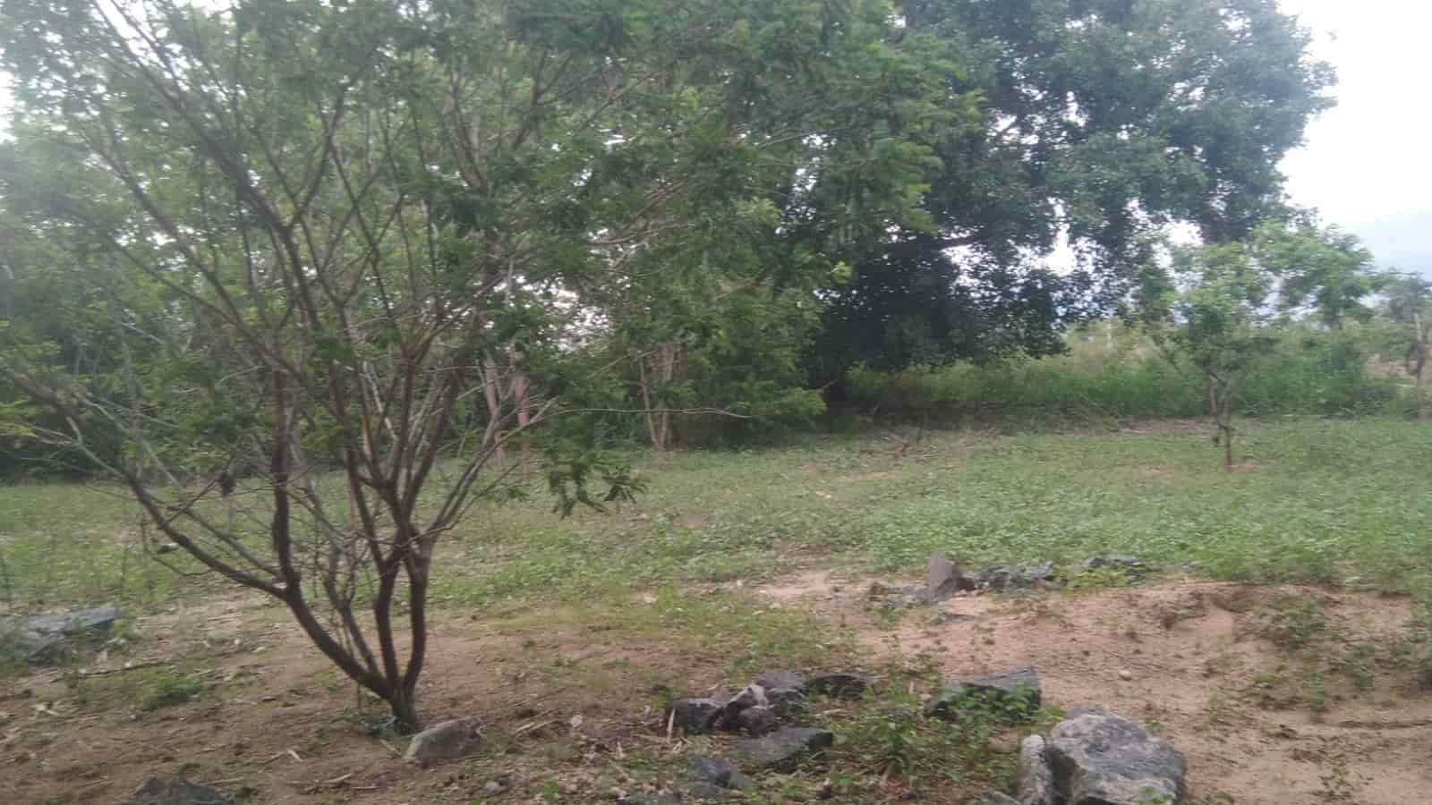 Thanamalwila Land for sale at fivestar.lk