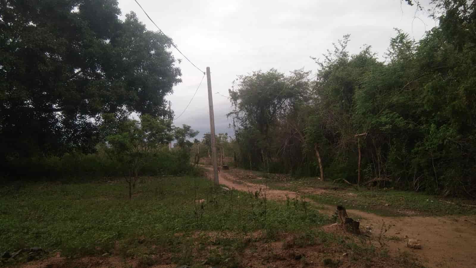 Thanamalwila Land for sale at fivestar.lk