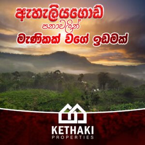 Ahaliyagoda land with house for sale at fivestar.lk
