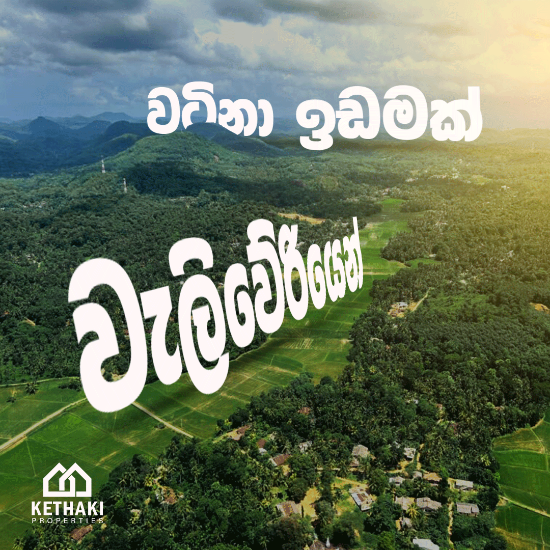 House with Land for Sale in Gampaha | ගම්පහ නිවස සහ ඉඩම විකිණීමට