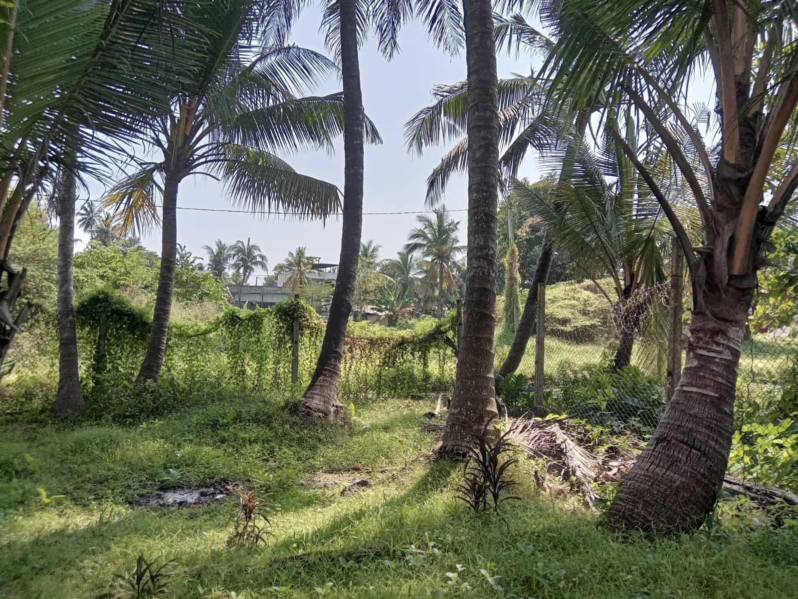 wellampitiya land with house for sale at fivestar.lk