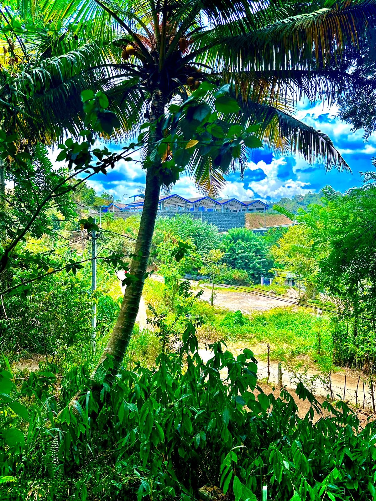 House with Land for Sale in Katugastota Kandy – මහනුවර කටුගස්තොට නිවසක් සහිත ඉඩමක් විකිණීමට - Image 6