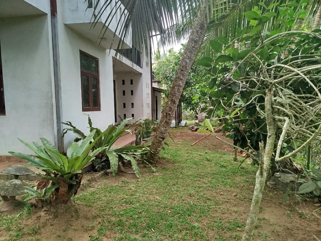 House for Sale in Gampaha | ගම්පහ දෙමහල් නිවසක් ඉක්මණින් විකිණීමට - Image 10