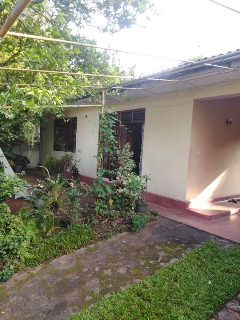 House with Land for Sale in Kadawatha | කඩවත නිවස සහ ඉඩම විකිණීමට - Image 2