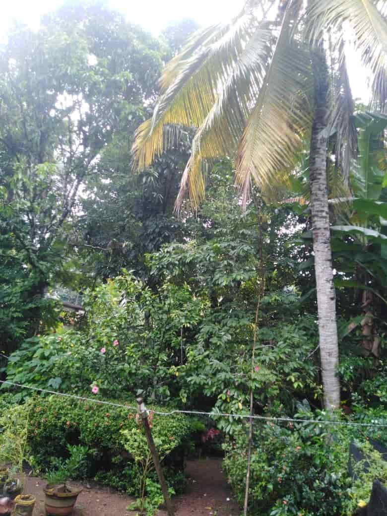 House with Land for Sale in Kadawatha | කඩවත නිවස සහ ඉඩම විකිණීමට - Image 8