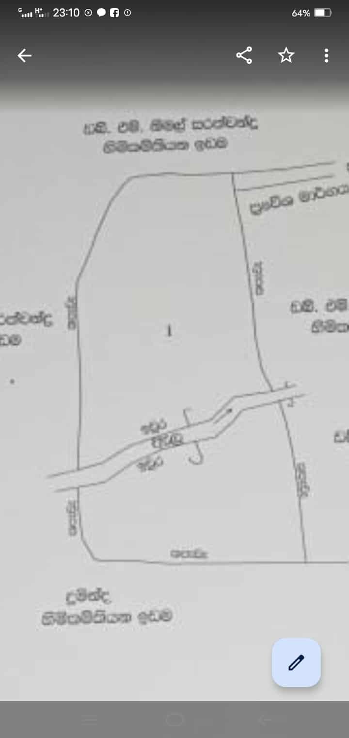 Land for Sale in Kuliyapitiya | කුලියාපිටිය පොල් ඉඩමක් විකිණීමට - Image 2