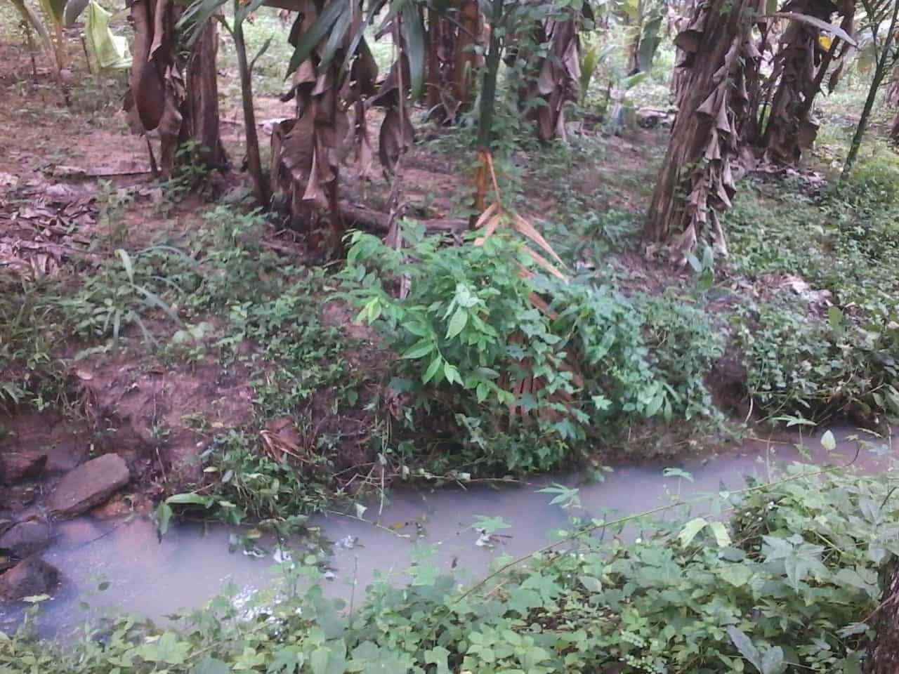 Kuliyapitiya Wewagama Coconut Land for sale at fivestar.lk