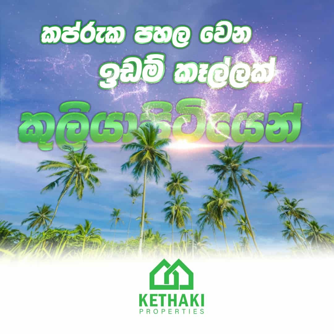 Kuliyapitiya Wewagama Coconut Land for sale at fivestar.lk