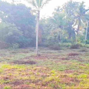 Land for sale at kuliyapitiya at fivestar